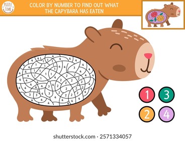 Vector color by number activity with capybara and food in his stomach. Capibara black and white counting or colouring game. Simple coloring page for kids with cute animal and fruit