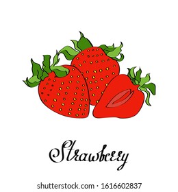 Vector color calligraphy original strawberry with type for poster, cards, branding, decor