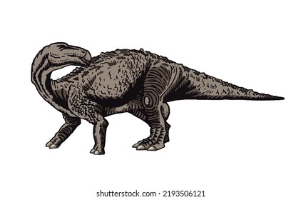 Vector color camarasaurus isolated on white background, graphical illustration of dinosaur