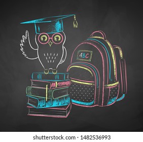 Vector color chalk drawn illustration of owl sitting on books and school bag on chalkboard background.