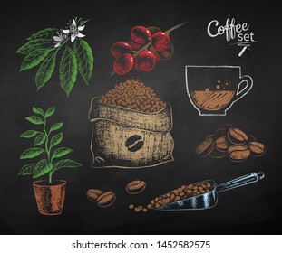 Vector color chalk drawn set of illustrations of coffee beans, sack and leaves with flower on chalkboard background.