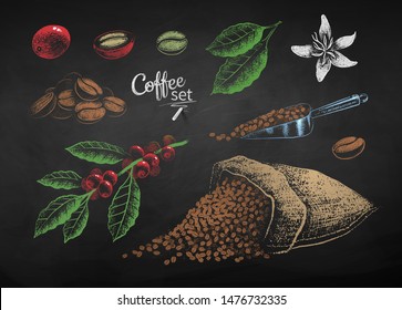 Trazo de color vectorial dibujado de ilustraciones de granos de café, bayas y saco sobre fondo de pizarra.