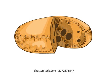 Vector color cheese circle with holes, graphical illustration, dairy product