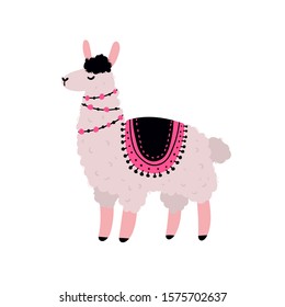 Vector color children's cartoon illustration, poster, print with cute funny llama in Scandinavian style on a white background. Cute baby animals. Lama Alpaca. Mexico.