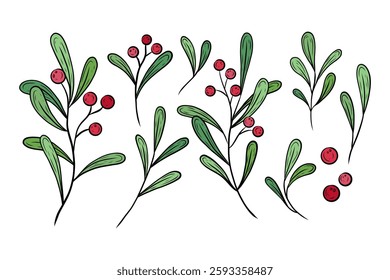 Vector color Christmas set with branches, leaves and berries. Hand drawn festive greenery with red berries. Botanical illustration for design, print, fabric or background, greetings, cards. 