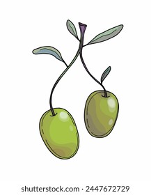 Vector color clipart olives on a twig, coloring book for hobbies, healthy food, olive oil, postcard, art, design for T-shirts and accessories