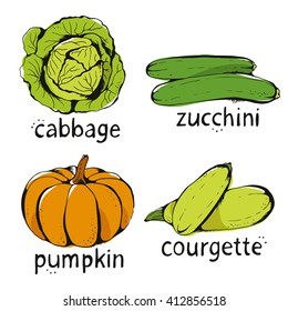 Vector color collection of hand drawn vegetables, cabbage, zucchini, pumpkin, courgette. Vector set isolated on white background