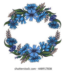 Vector Color Cornflower Frame