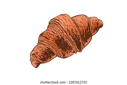 Vector color croissant isolated on white, sweet roll , graphical element for bakery logo and design