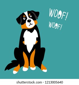 Vector Color Cute Bernese Mountain Dog Pet Animal  Cartoon Doodle Pattern Simple Childish Design For Textile Paperwoof Word Lettering