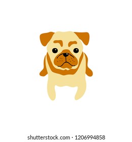 vector color cute pug dog pet animal  cartoon doodle pattern simple childish design for textile paper