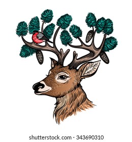 Vector Color Deer Illustration