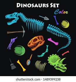 Vector Color Dinosaur Bones Set