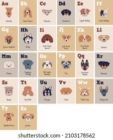 Vector color dog breeds alphabetical cards with cute dog faces hand drawn illustration for printing for preschool classes and kid room and also for homeschooling