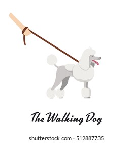 Vector color of the dog white Grand Poodle breed with a leash