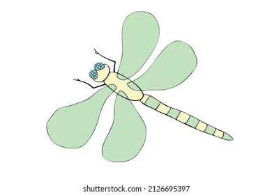 Vector color dragonfly in flat style, isolated on white background. Simple design element, clip art for spring, summer, postcard, kids natural element design