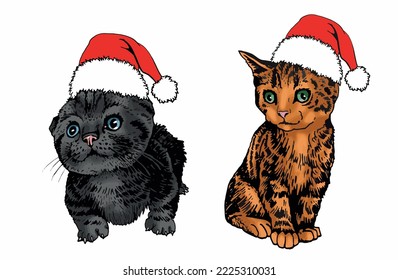 Vector color drawing of cats  in Santa Claus red hats,illustration for Christmas design and books