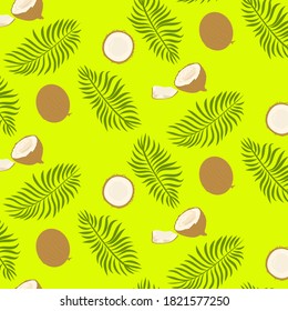 Vector color drawing coconut tropics