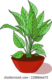 Vector color drawing dieffenbachia sketch in a pot. Potted house plant icon. For print and web.