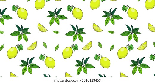 Desenho a cores vetorial de limão de fruta, laranja, trópicos, plantas tropicais, tucano. Padrão contínuo