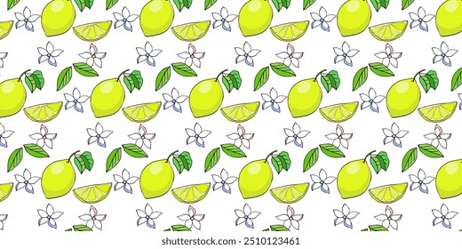 Vector color drawing of fruit lemon, orange, tropics, tropical plants, toucan. Seamless pattern