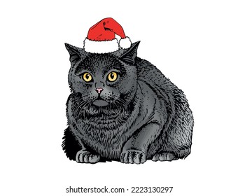 Vector color drawing of grey cat in Santa Claus red hat ,graphical domestic pet