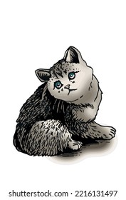 Vector color drawing of kitten,graphical  domestic pet,illustration for design and books
