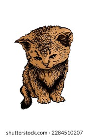 Vector color drawing of kitten,graphical  domestic pet,illustration for design and books