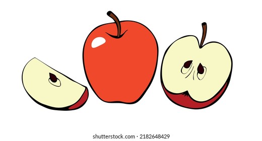 Vector color drawing of whole and cut in half apple in doodle flat style. Hand-drawn isolated fruit. Clip art, symbol of harvest, summer, autumn, garden, healthy food, school snack