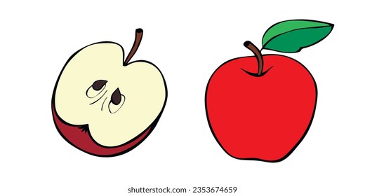 Vector color drawing of whole and cut in half apple in doodle flat style. Hand-drawn isolated fruit. Clip art, symbol of harvest, summer, autumn, garden, healthy food, school snack