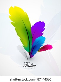 Vector color feathers background