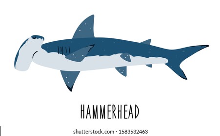 Vector color flat illustration of a shark on a white background. Hammerhead shark. Undersea world. Ocean. Isolated on white background.Animal sea fish character underwater cute marine wildlife mascot.