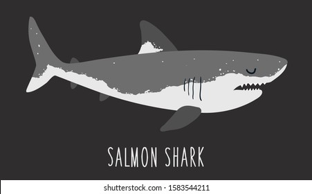 Vector color flat illustration of a shark on a dark background. Salmon shark. Undersea world. Ocean. Isolated on black background. Animal sea fish character underwater cute marine wildlife mascot.