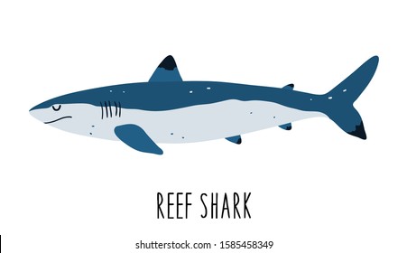 Vector color flat illustration of a shark on a white background. Reef shark. Undersea world. Ocean. Isolated on white background. Animal sea fish character underwater cute marine wildlife mascot.