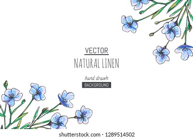 Vector color floral background with linen branches isolated on white. Hand drawn texture with flowers.