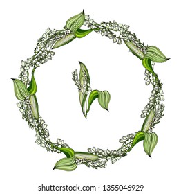 Vector color floral Lily of the valley flowers set