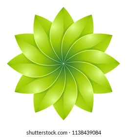Vector Color flower illustration