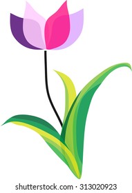 vector color flower spring crocus on white background