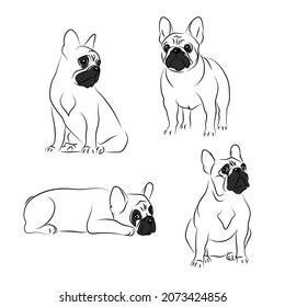 vector color french bulldog symbol sweet dog emblem pet sticker puppy mascot set collection