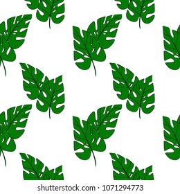 vector color green tropical exotic palm leaves seamless  pattern  on white