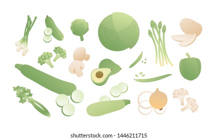 Vector color green vegetables set. Modern style flat coloful illustration vegetable with slices isolated on white background. Design elements for banner, poster, web, vegeterian, summer, menu, vitamin