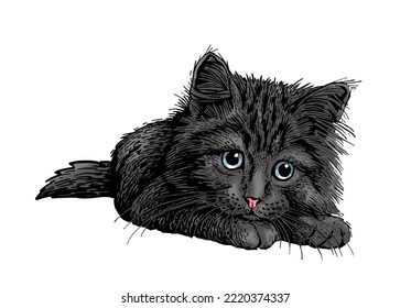 Vector  color grey cat,graphical drawing of domestic pets,illustration for design and books