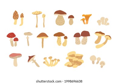 Vector color hand drawn flat illustration set of mushrooms. Isolated on white background. Autumn forest harvest 
