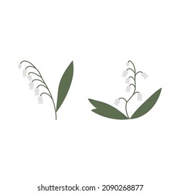 Vector color hand drawn illustration with Lily of the valley. Minimalist Spring Flower. Wildflower for logo design, tattoo, postcard