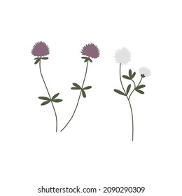 Vector color hand drawn illustration with Clover set. Minimalist Meadow Flower and herb.  Wildflower for logo design, tattoo, postcard