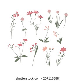 Vector color hand drawn illustration with pink flowers set. Big collection of minimalist wildflowers. For logo design, tattoo, postcard