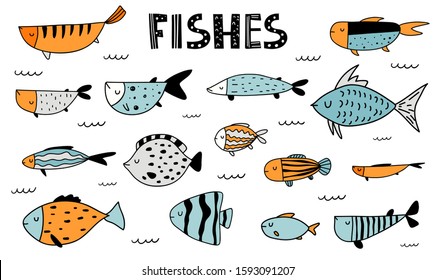 Vector color hand-drawn contour children`s set with different fish in the Scandinavian style on a white background. Undersea world. Sea inhabitants. Isolated objects on white background. Cute animals.
