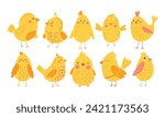 Vector color handdrawn cute easter set with chickens in flat style on a white background. Easter set. Spring. Happy easter