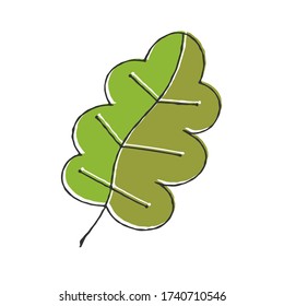 Vector color hand-drawn illustration of a plant leaf. Doodle style isolated on white background for theme design