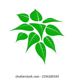 Vector color icon of green leaves.